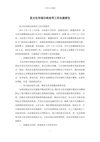 县文化市场行政处罚工作自查报告