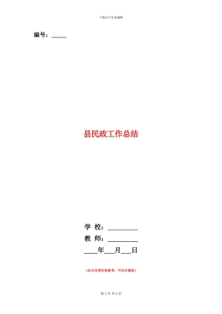 县民政工作总结