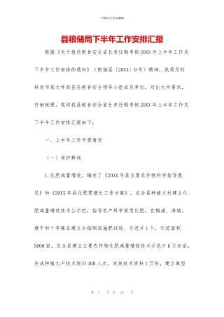 县粮储局下半年工作安排汇报