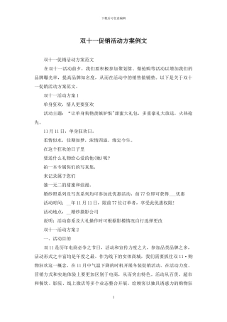 双十一促销活动方案例文