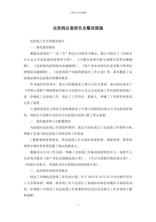 反洗钱自查报告及整改措施
