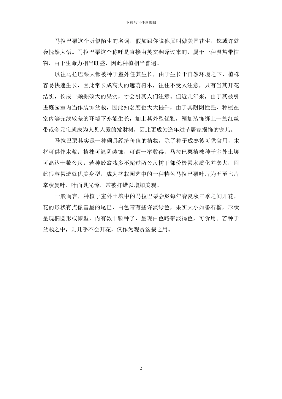 发财树的简介50字：发财树简介_第2页