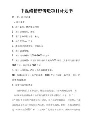 精密铸造项目开发计划方案