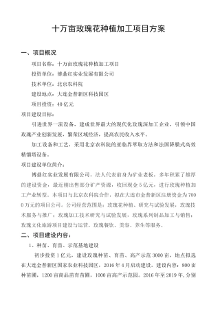 玫瑰花种植方案