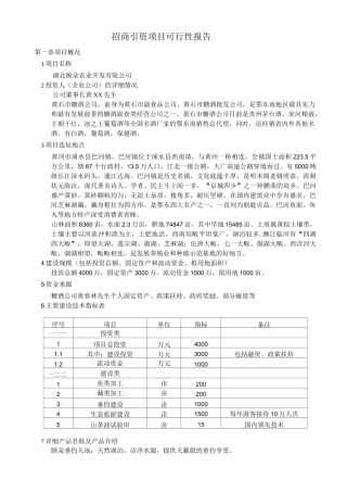 招商引资项目可行性报告