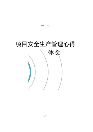 项目安全生产管理心得体会