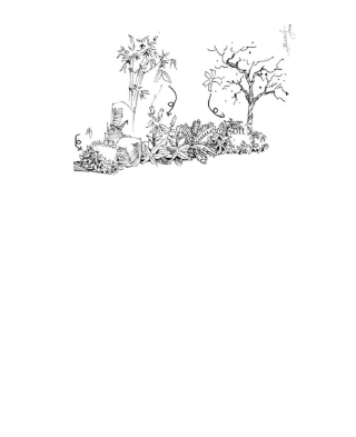 植物配置效果图手绘画法