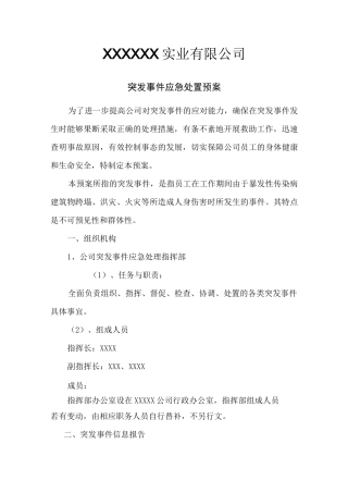 公司应急处置方案
