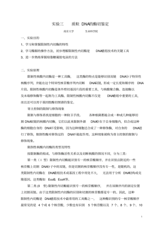 试验3质粒DNA的酶切鉴定