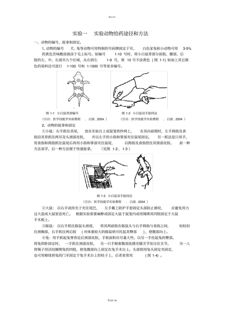 试验一-试验动物给药途径和方法_第1页