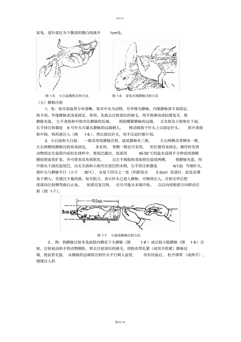 试验一-试验动物给药途径和方法_第3页