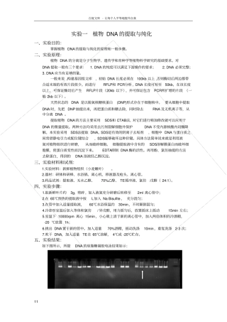 试验一植物DNA的提取与纯化