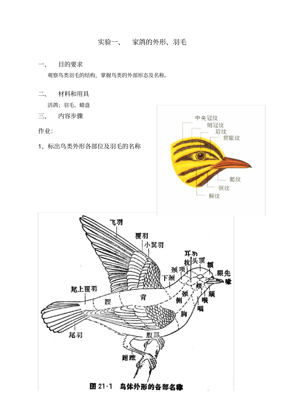 试验一：鸟类的外部形态及鸟体测量-1_第1页