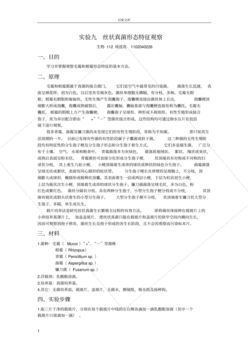 试验九丝状真菌形态特征观察_第1页