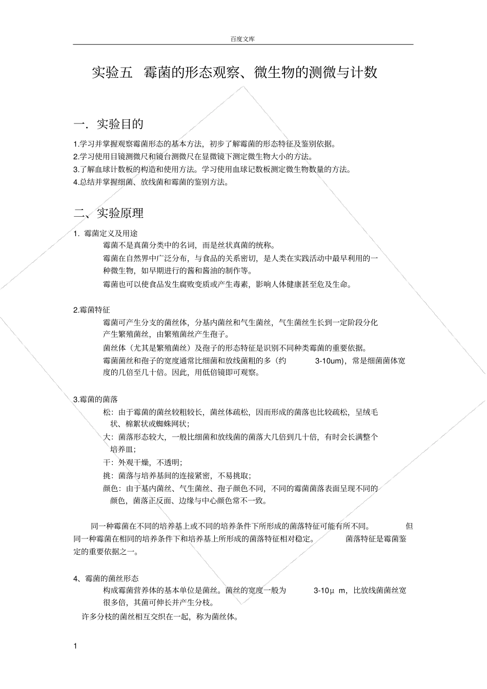 试验五-霉菌的形态观察_第1页