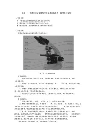 试验五六七资料