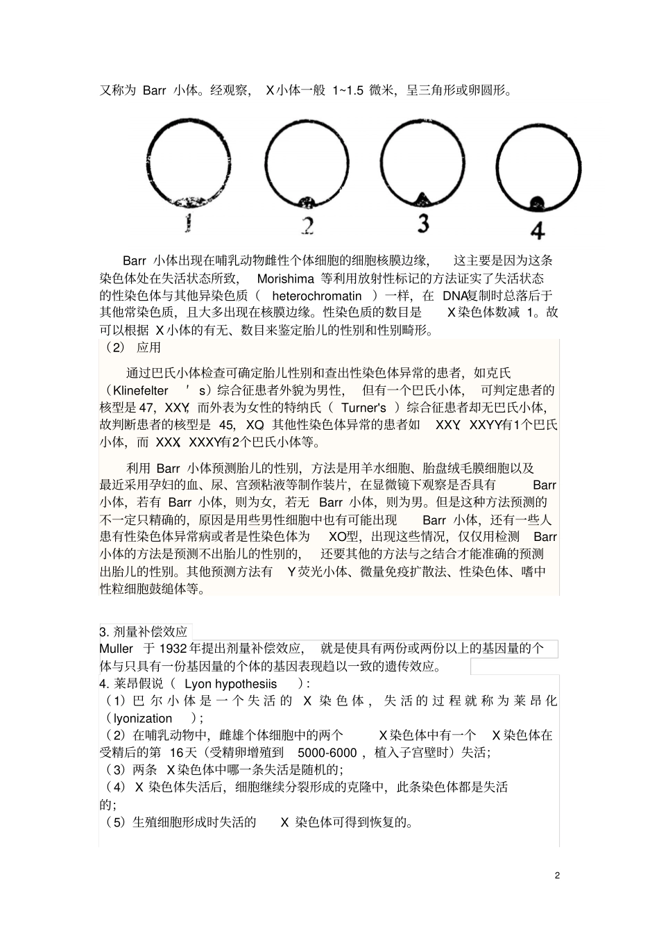 试验六：barr小体的观察讲解_第2页