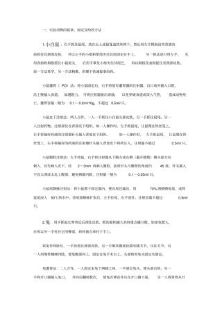 试验动物保定方法