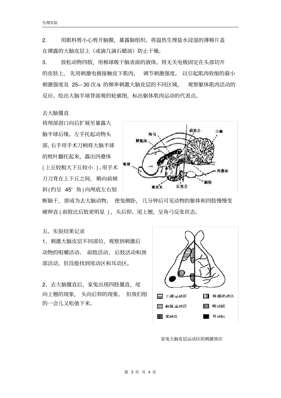 试验十二大脑皮层运动定位去大脑僵直_第3页