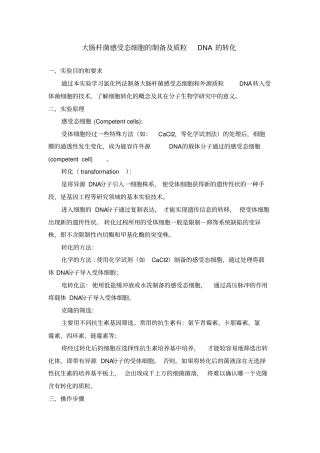 试验大肠杆菌感受态细胞的制备及质粒DNA的转化