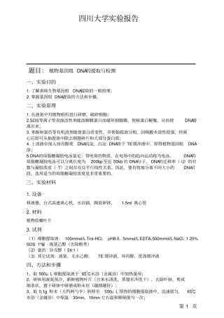 试验报告-植物基因组的提取和检测