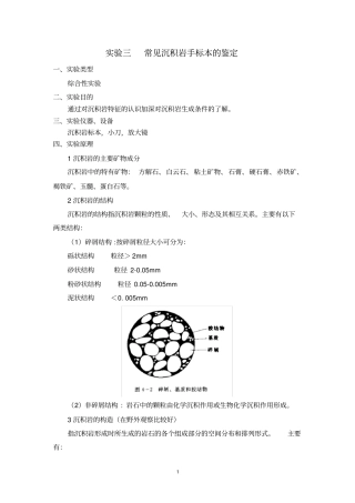 试验：常见沉积岩手标本的鉴定