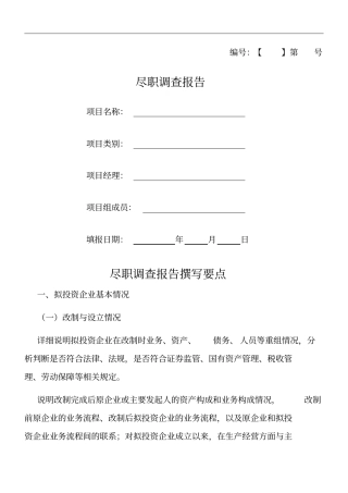 详尽——尽职调查报告