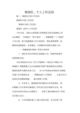 调查队,个人工作总结