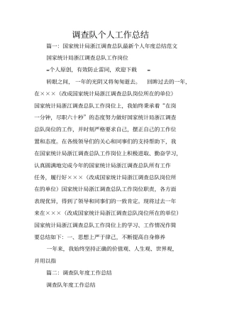 调查队个人工作总结