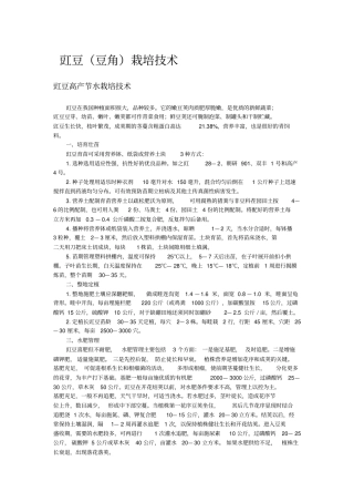 豇豆豆角栽培技术讲解