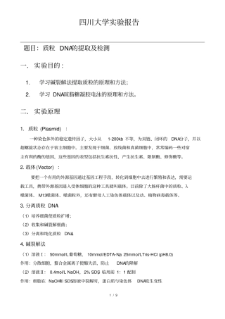 质粒DNA的提取及检测试验报告