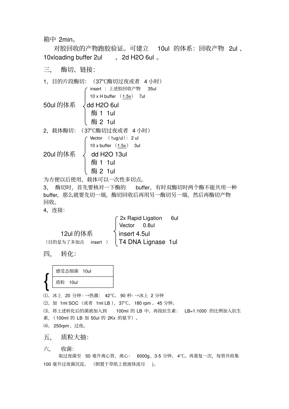 质粒构建-protocol_第2页