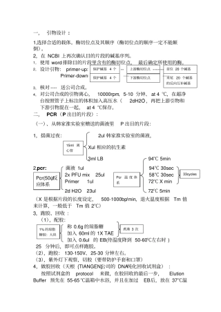 质粒构建-protocol