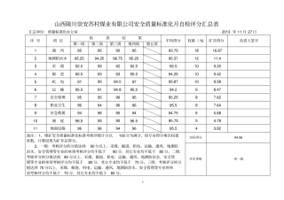 质量标准化评分汇总表用