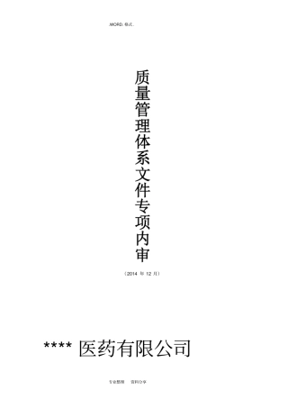 质量管理体系文件专项内审