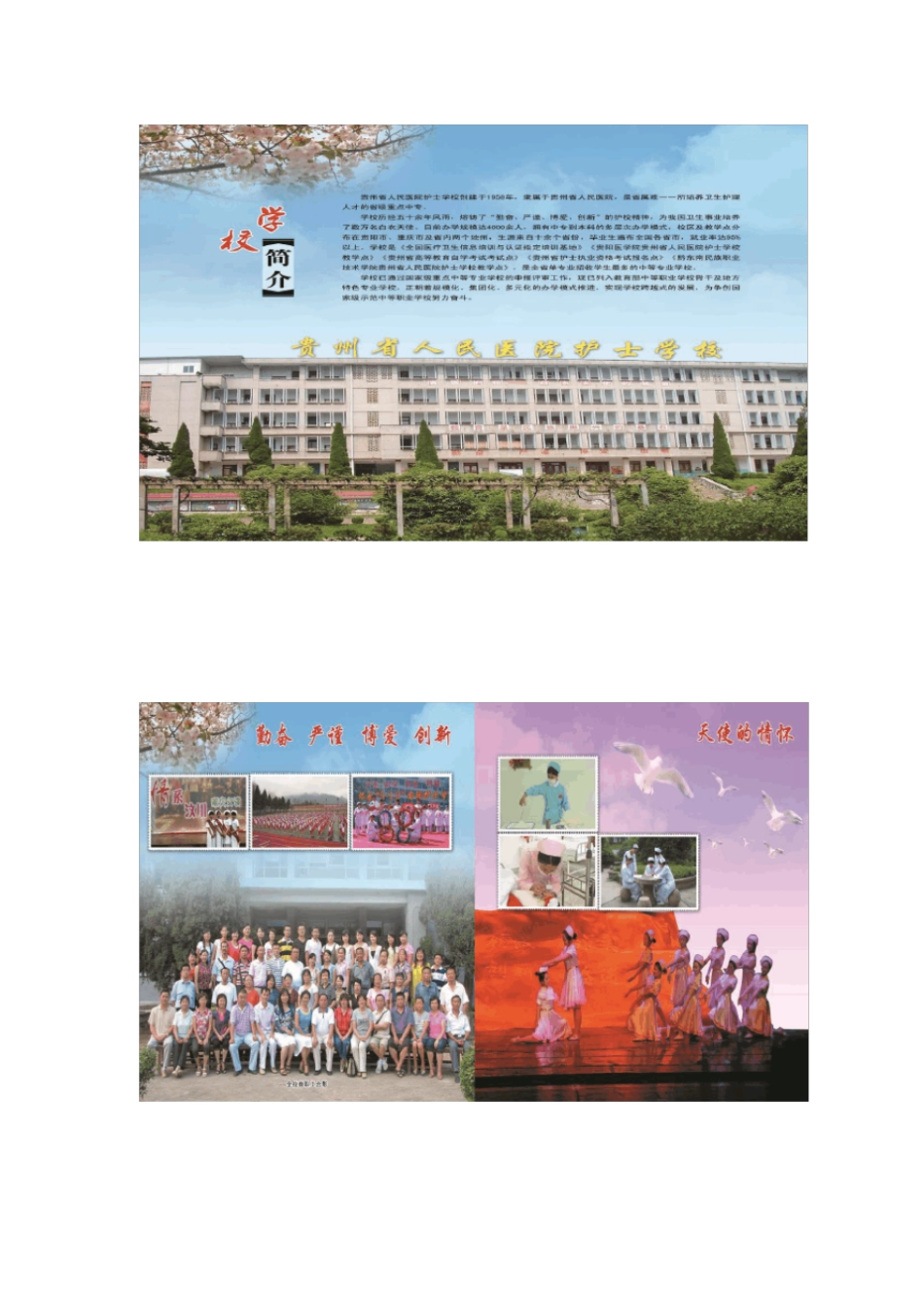 贵州某学校形象年册营销策划方案_第3页