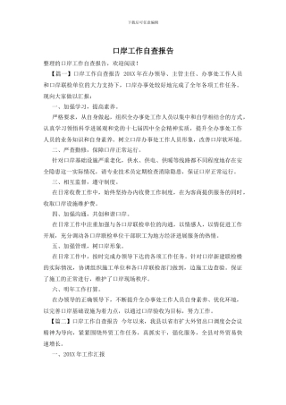 口岸工作自查报告