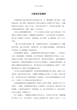 古镇里的老槐树