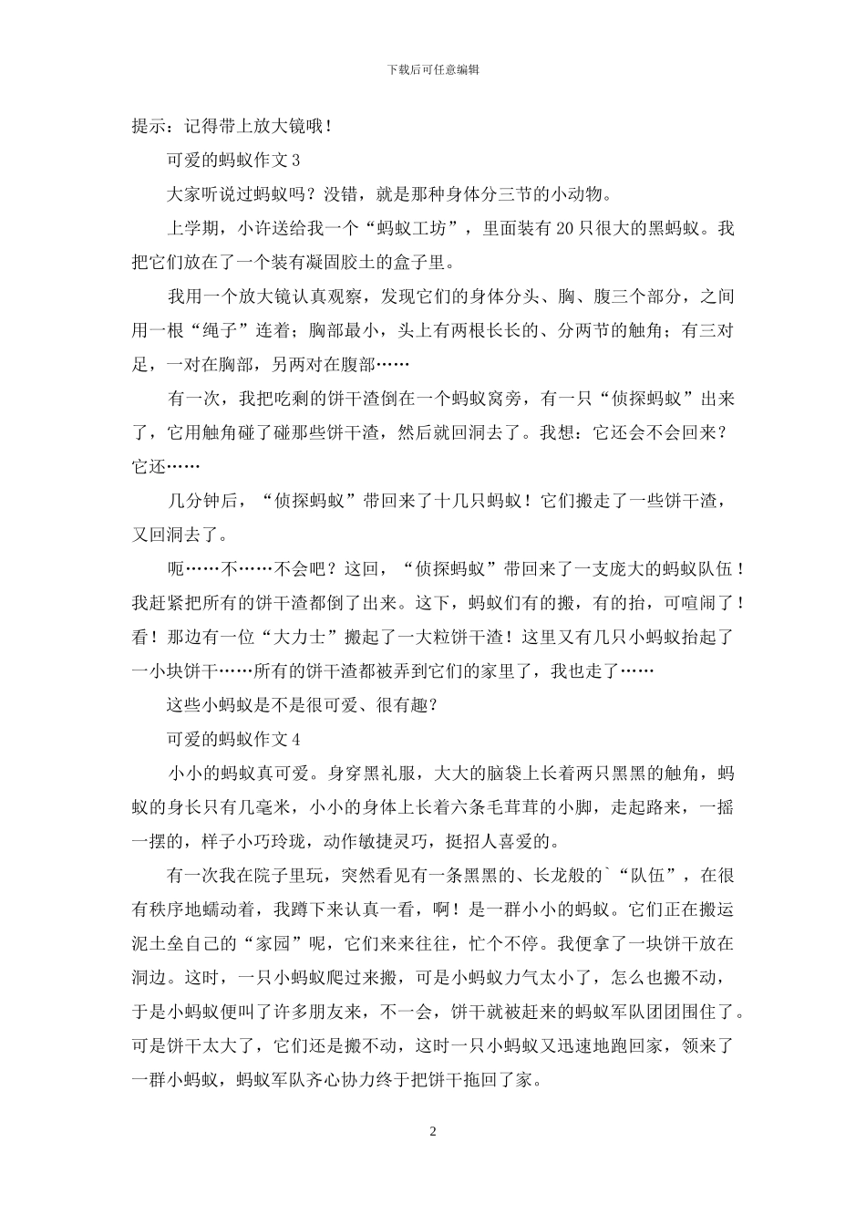 可爱的蚂蚁作文15篇_第2页