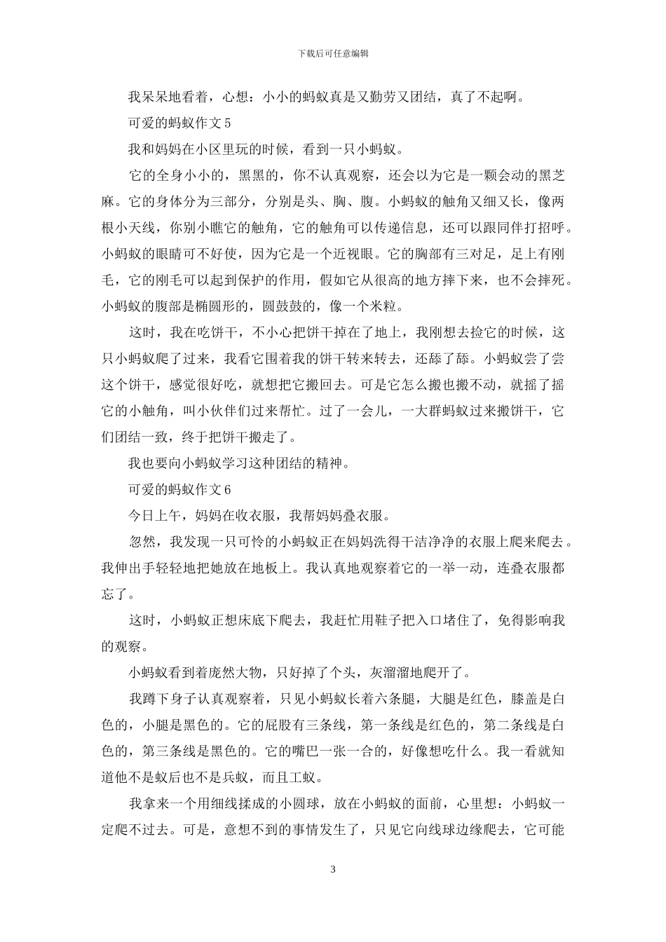 可爱的蚂蚁作文15篇_第3页