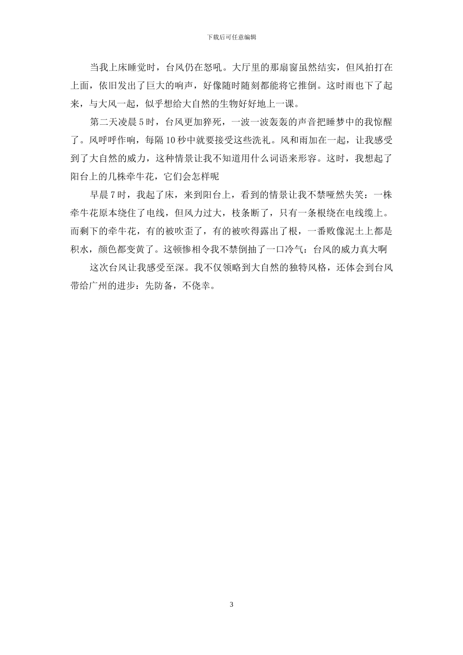 台风莫兰蒂来了作文400字_第3页