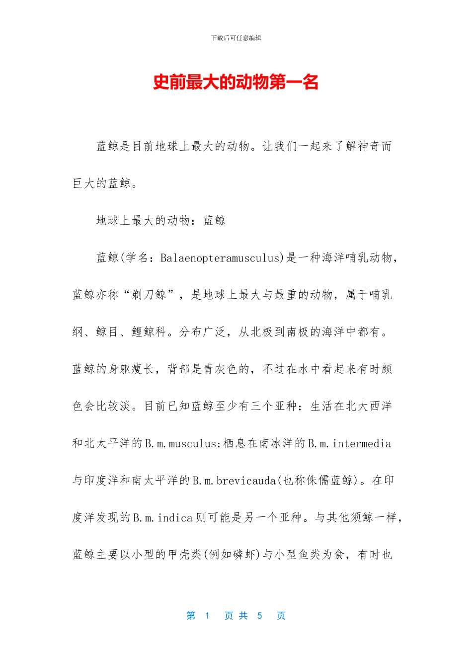 史前最大的动物第一名_第1页