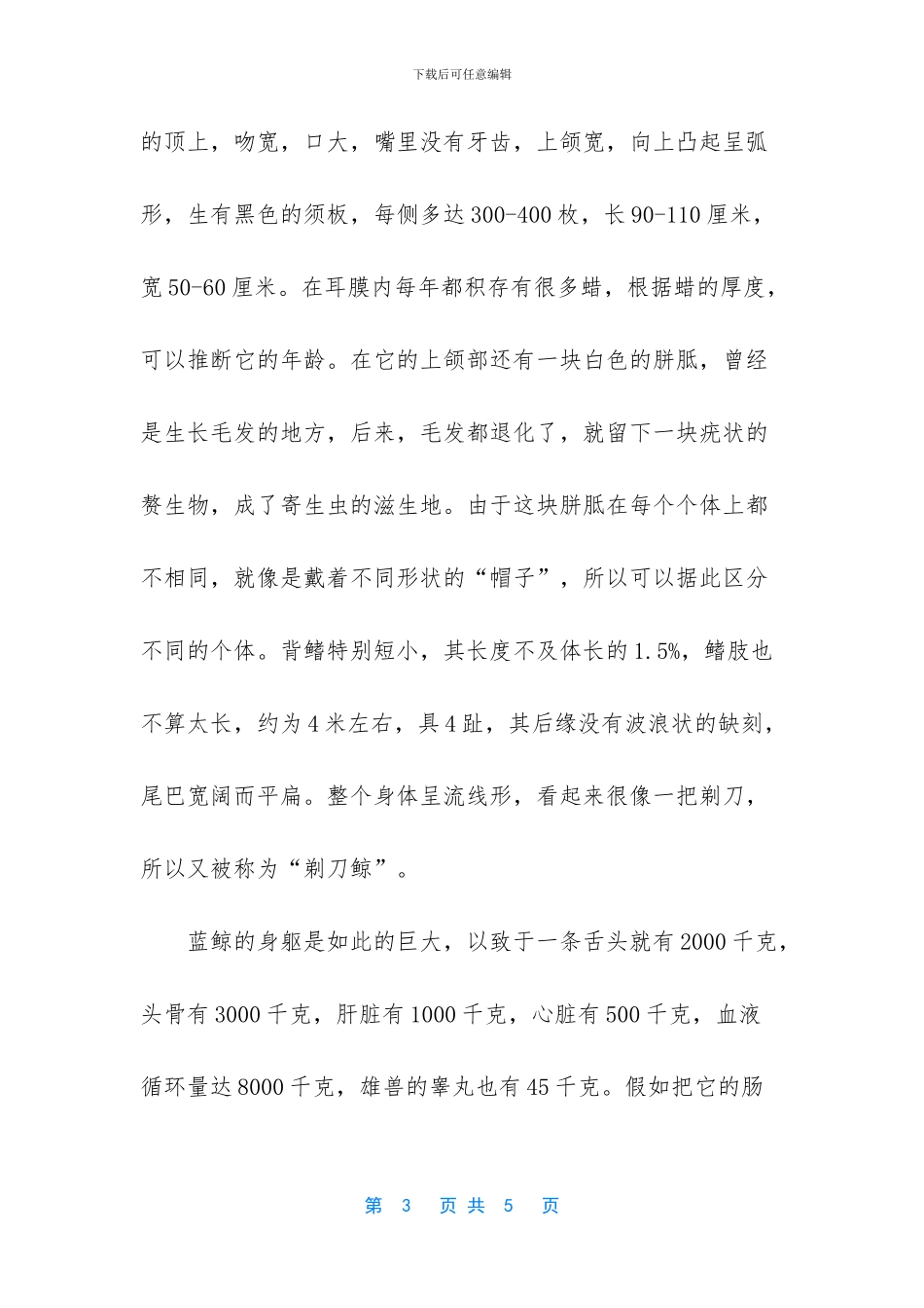 史前最大的动物第一名_第3页
