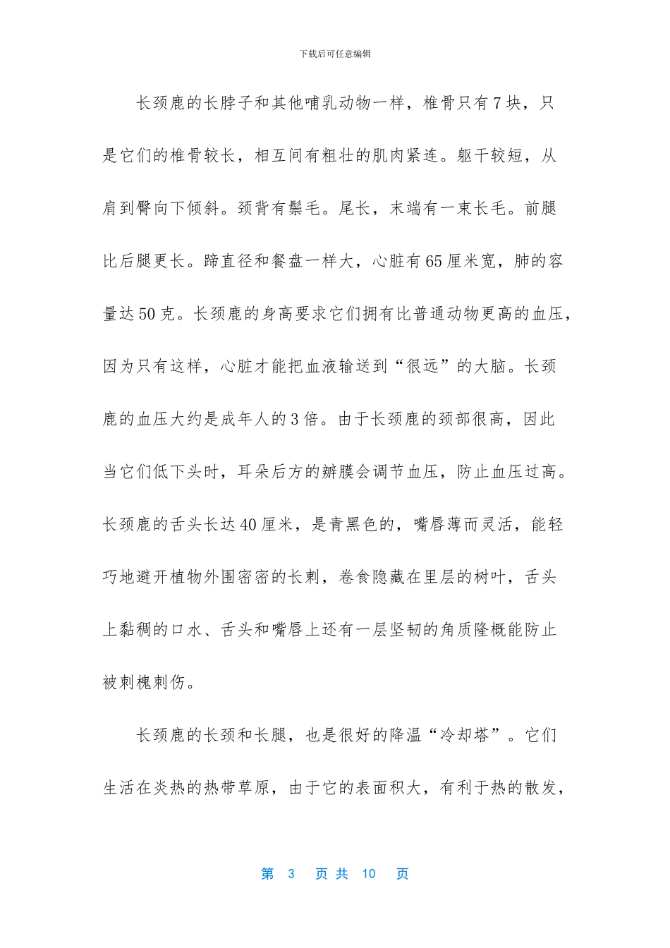 史前最大的动物300米_第3页