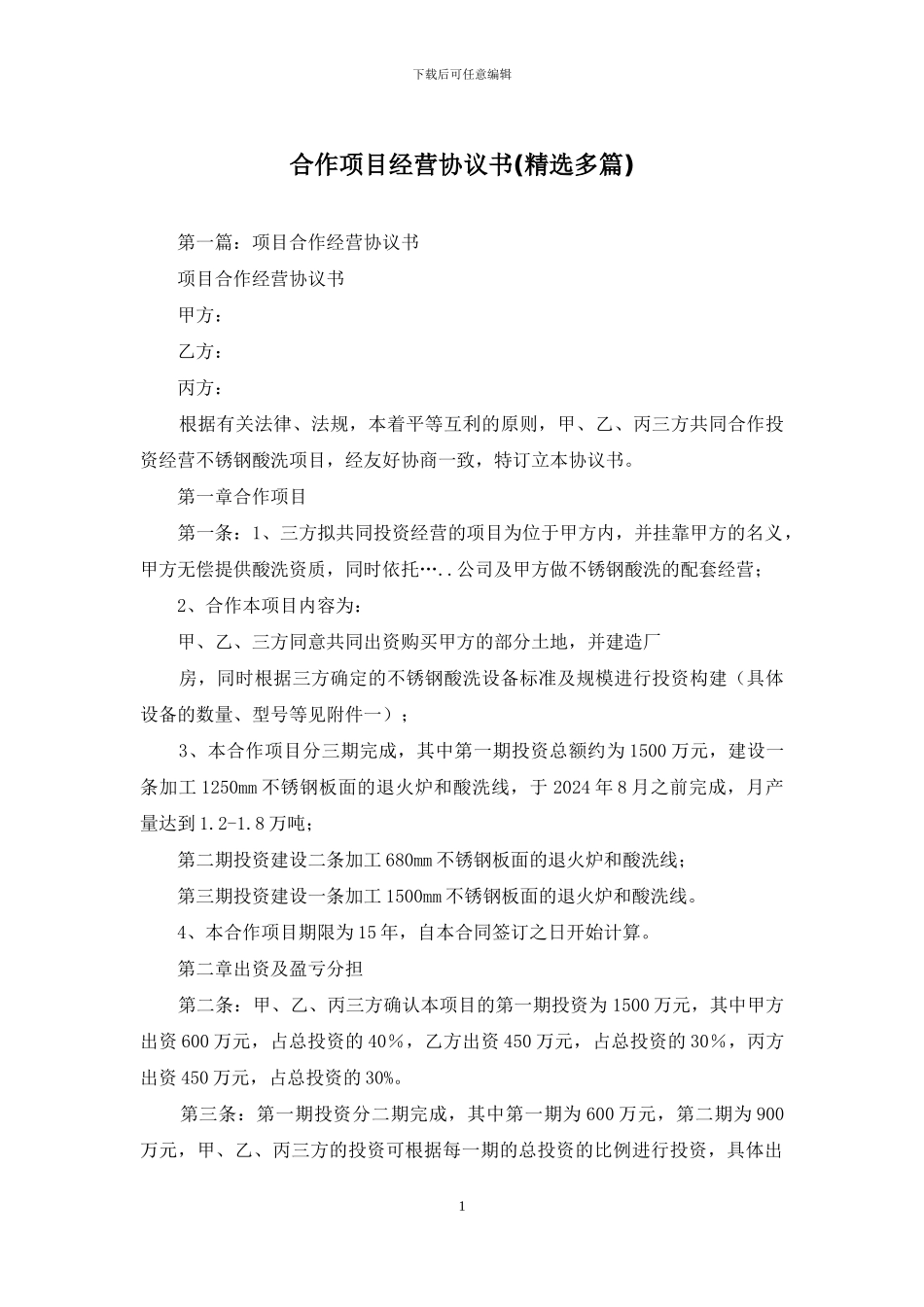 合作项目经营协议书_第1页