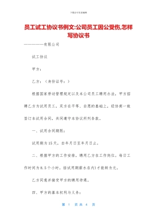 员工试工协议书例文