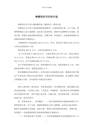 啤酒项目可行性计划