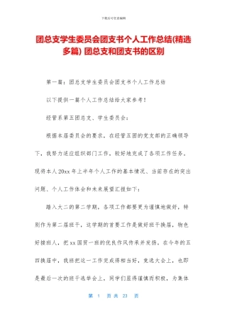 团总支学生委员会团支书个人工作总结