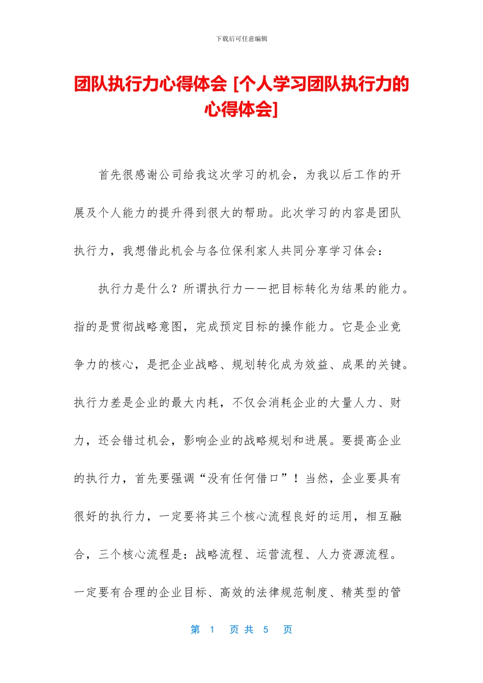 团队执行力心得体会_第1页