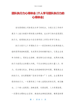 团队执行力心得体会